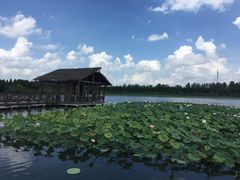 -溱湖国家湿地公园