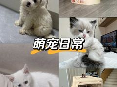 -派特宠物医院(海岸城店)