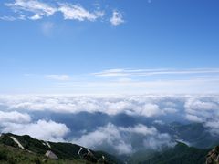 -白草畔自然风景区