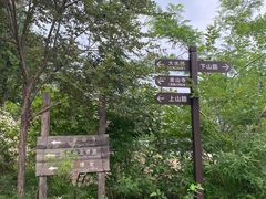 -阳台山自然风景区