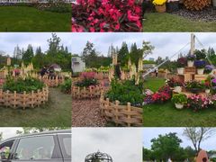 -上海植物园-4号门售票处