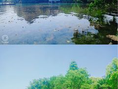 -西湖外事游船(花港观鱼码头)