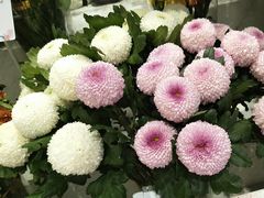 -花邻FloweringLife花艺气球派对(武康大楼店)