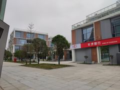 -马栏山视频文创产业园