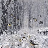 用刮刀作画，这位是高手！[礼花][礼花][礼花]