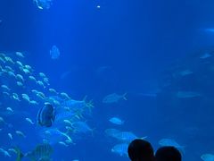 -太平洋海底世界