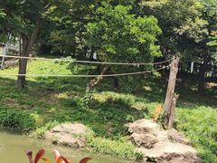 -宁波野生动物园