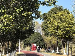 -艾溪湖湿地公园