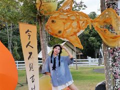-云栖山谷野奢营地