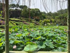 -广州莲花山旅游区