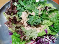 -乐凯撒披萨(蛇口花园城店)