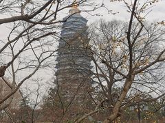 -红梅公园
