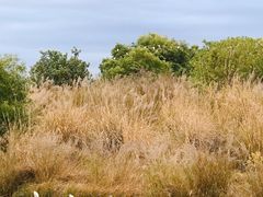 -碧桂园十里银滩