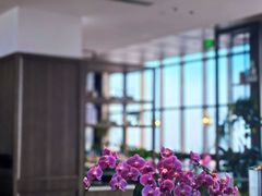 -北京东三环希尔顿逸林酒店