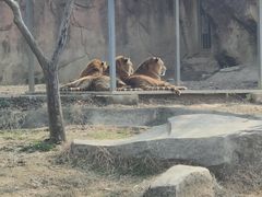 -无锡动物园·太湖欢乐园