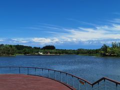 -东郊湿地公园