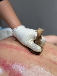 -阅年轻·AI家庭健康体质调理