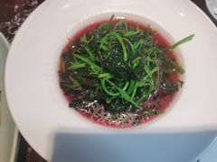 蒜蓉炒苋菜-钱塘花园·宁波菜
