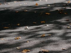 -河南省黄河迎宾馆