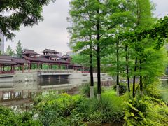 -重庆彩云湖湿地公园