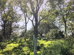 -西海子公园