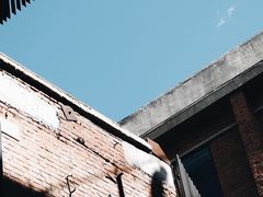 -大酉·M Coffee(北京美术馆店)