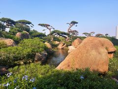 -罗红摄影艺术馆