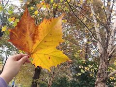 -壹生壹世·农家烤鱼