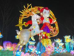 -武汉园博园(武汉自然博物馆)