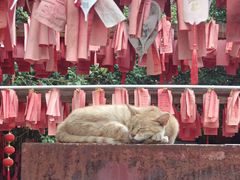 -福州开元寺