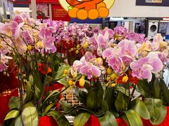 -山姆会员商店(亦庄创意生活广场店)