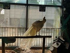 -绿色星球动物主题公园