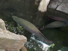-青青世界