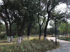 -永定河休闲森林公园