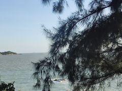 -宋井风景区