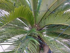 -上海浦西万怡酒店