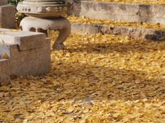 -狼山风景名胜区