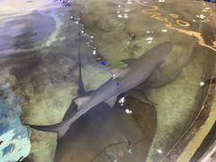 -鸿通城购物中心