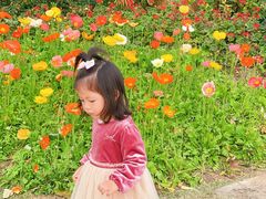 -二沙岛艺术公园
