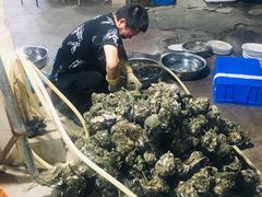 -花苑美食横琴生蚝火锅(拱北粤华路店)
