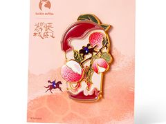 -瑞幸咖啡(合肥南站北广场店)