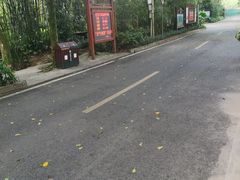 -大屏嶂森林公园