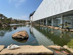 -罗红摄影艺术馆