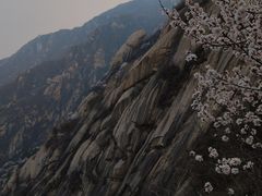 -北京凤凰岭