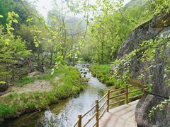 -洛阳白云山景区