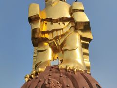 -大金鹰园