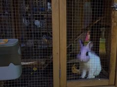 -西西里轰趴日租聚会别墅·团建拓展
