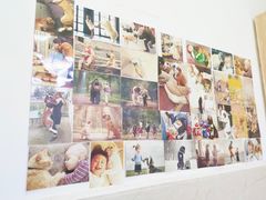 -仁华宠物医院(青羊店)