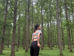 -黄海国家森林公园