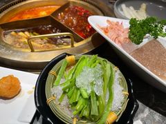 -麻路成都火锅(柏威年店)